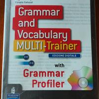 Pearson Grammar and Vocabulary multi-trainer
