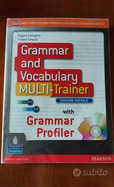 Pearson Grammar and Vocabulary multi-trainer