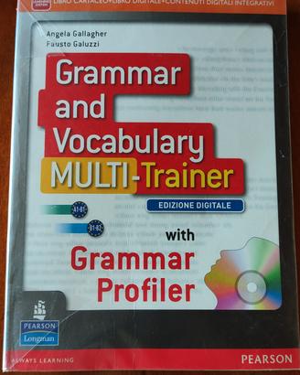 Pearson Grammar and Vocabulary multi-trainer
