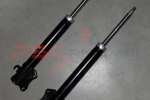 Coppia ammortizzatori posteriori Ford Escort–Orion