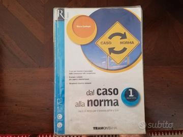 Dal caso alla norma 1 9788823348974