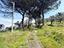 Immagine 19