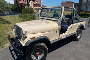 Vendita american motors corporation cj 6