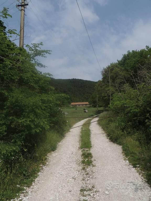 Rustico / Casale di 250 m² con più di 5 locali a T - Vista 5