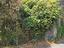 Immagine 14