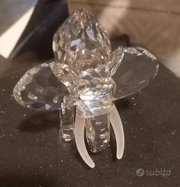 Swarovski da collezione 
