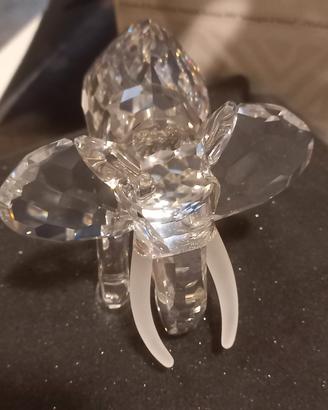 Swarovski da collezione 