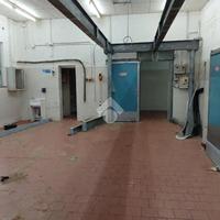 CAPANNONE A MONTECHIARUGOLO