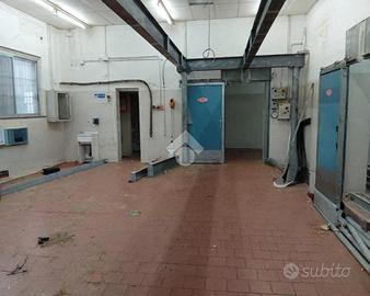 CAPANNONE A MONTECHIARUGOLO