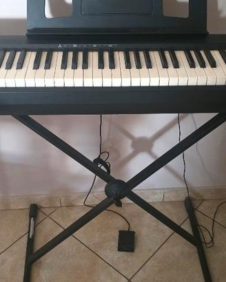 roland pp-10