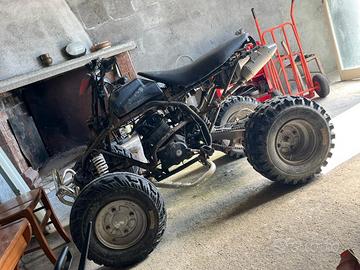 Quad 250 2 tempi