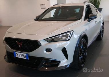 Cupra Formentor 2.5 tsi VZ5 Taiga Grey 4drive dsg