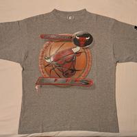 T-shirt vintage Chicago Bulls Starter anni '90