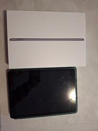 ipad 256  gb