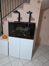 acquario marino 