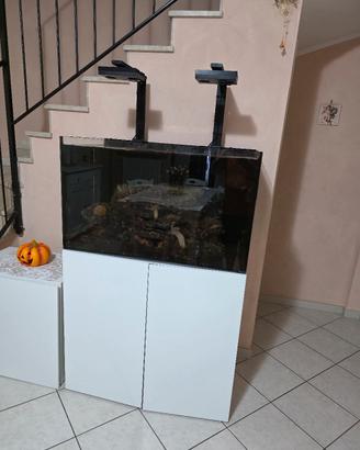 acquario marino 