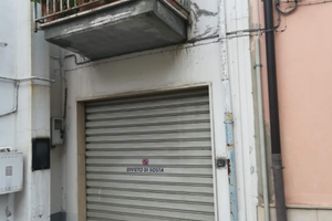 Abitazione autonoma e garage