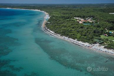 Serra Alimini 1 - villetta 6 posti 24/7-7/8/2025