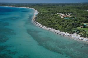 Serra Alimini 1 - villetta 6 posti 24/7-7/8/2025