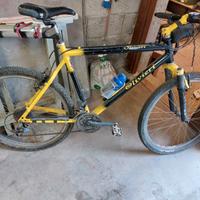 Mountain bike