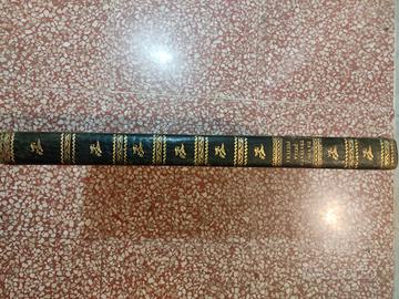 trattato pittura di Leonardo da Vinci 