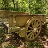 Antico carro agricolo