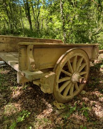 Antico carro agricolo