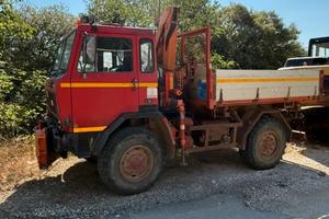 Autocarro con cassone aperto e gru