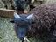 Immagine 1