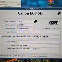 canon eos 6d mark1 e 24-105 f4 l is