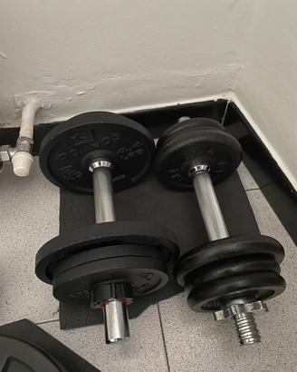 Manubri Pesi palestra 40kg