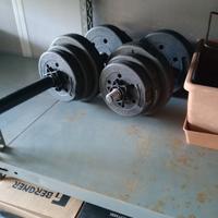 Coppia di manubri per pesistica 