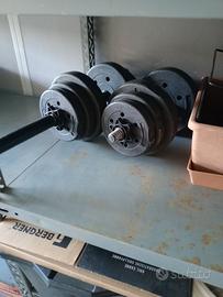 Coppia di manubri per pesistica 