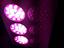 Immagine 5