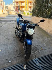Hornet 600