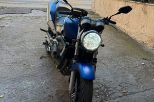 Hornet 600