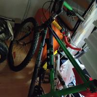 Bicicletta Mtb thomisus Bianchi 