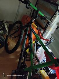 Bicicletta Mtb thomisus Bianchi 