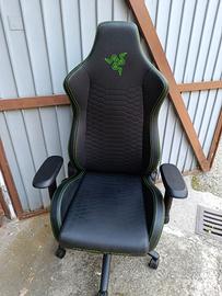 Ergonomic Gaming Chair Iskur Razer X