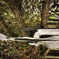 Pergola da montare uno più nuova