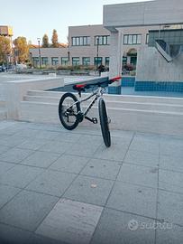 scott scale 26 rigid 