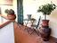Immagine 25