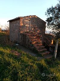 Terreno e rustico maremma
