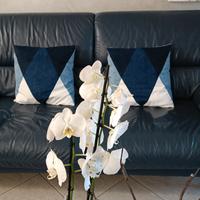 2 divani in pelle blu+4 cuscini