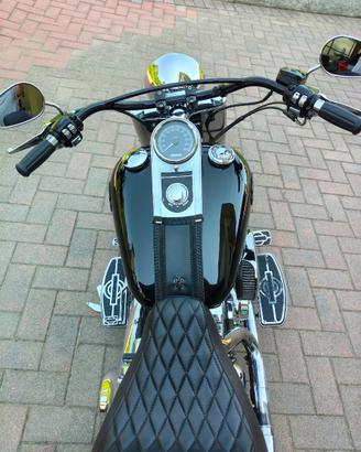Harley davison /  fet boy