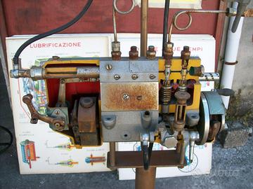 Sezionato suola guida didattico autoscuola pompa i