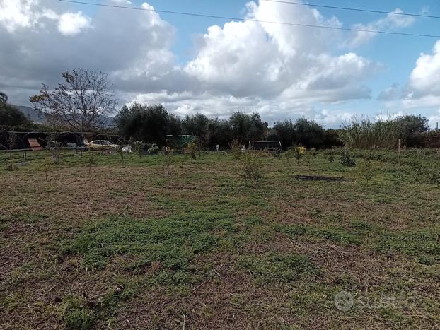 Terreno agricolo vicino al mare