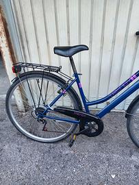 Bici da città