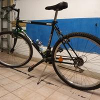 bici da uomo