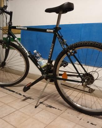 bici da uomo